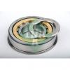 65 mm x 140 mm x 33 mm  INA 722054310 cylindrical roller bearings #2 small image