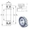17 mm x 40 mm x 12 mm  INA BXRE203 needle roller bearings