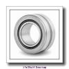 17 mm x 30 mm x 14 mm  INA NA4903-2RSR needle roller bearings #1 small image