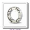 65 mm x 85 mm x 10 mm  ISB SS 61813-2RS deep groove ball bearings #1 small image
