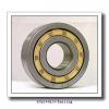 AST NJ313 EM cylindrical roller bearings