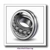 65 mm x 140 mm x 33 mm  ISB NU 313 cylindrical roller bearings
