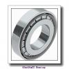 65 mm x 140 mm x 33 mm  CYSD NU313E cylindrical roller bearings #1 small image