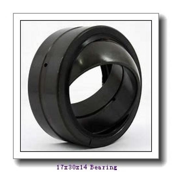 17 mm x 30 mm x 14 mm  INA GIR 17 UK plain bearings #1 image