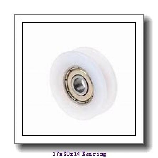 17 mm x 30 mm x 14 mm  INA GIR 17 DO plain bearings #1 image