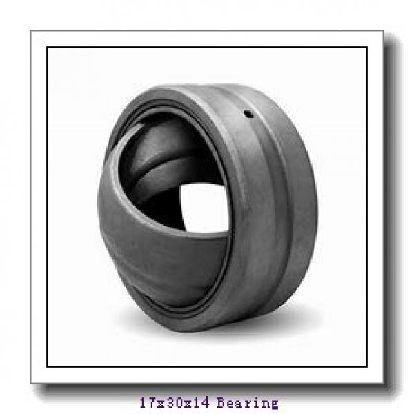 17 mm x 30 mm x 14 mm  INA GAR 17 DO plain bearings #1 image