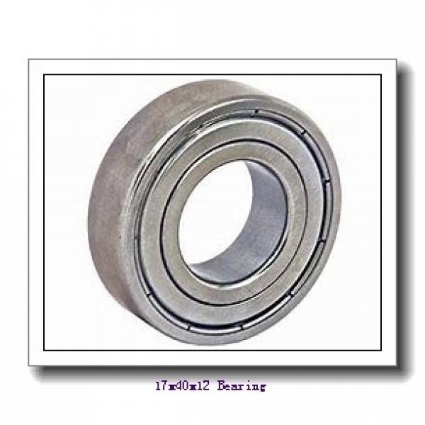 17 mm x 40 mm x 12 mm  FAG S6203 deep groove ball bearings #1 image
