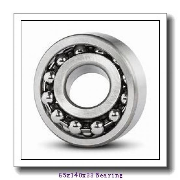 65 mm x 140 mm x 33 mm  NKE NUP313-E-M6 cylindrical roller bearings #1 image